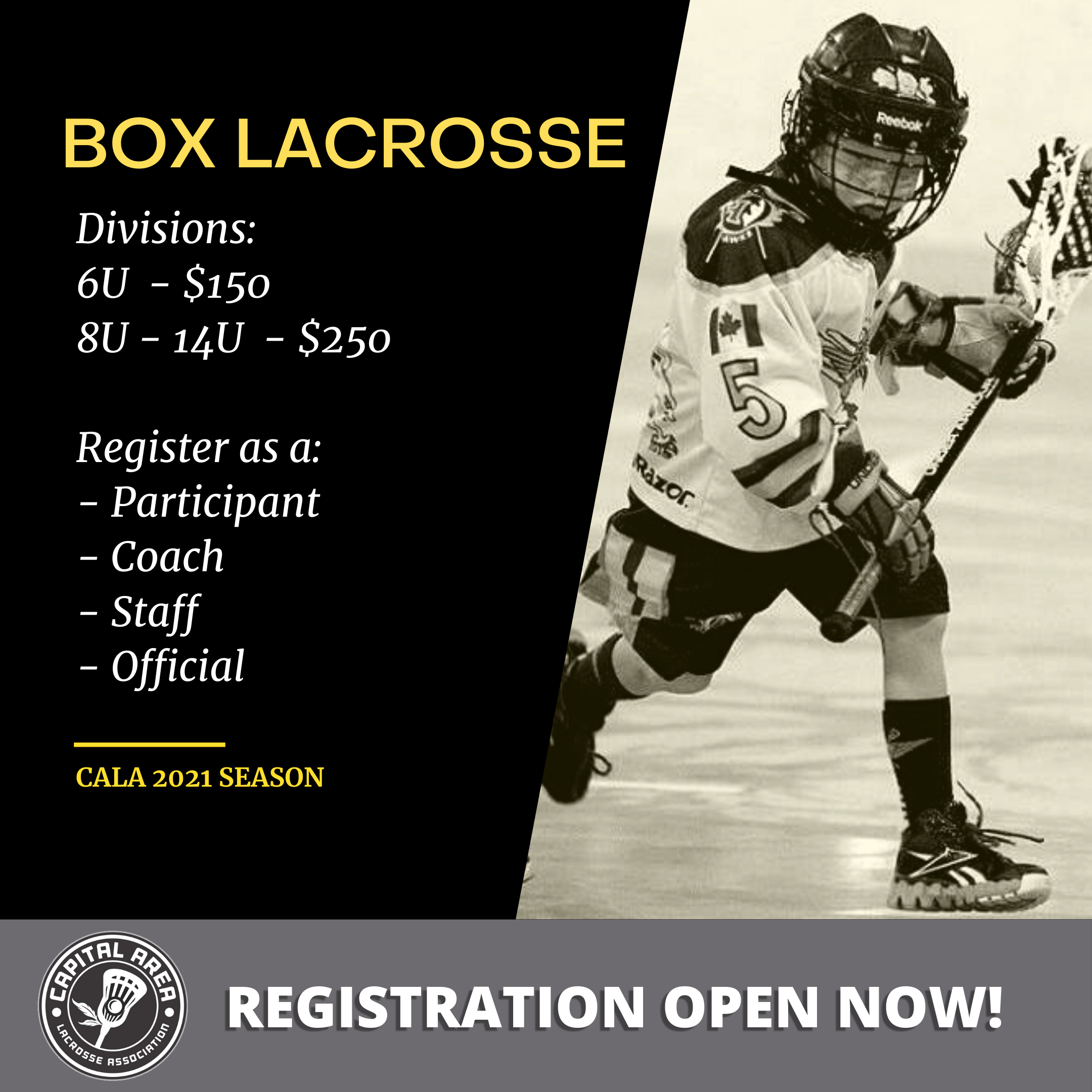 Capital Area Lacrosse Association Website by RAMP InterActive